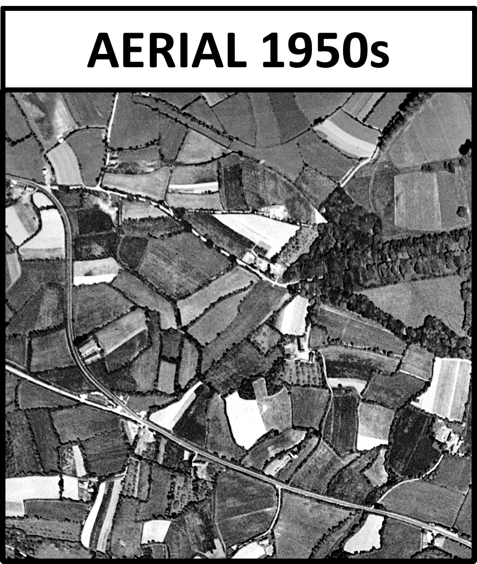 Example 4