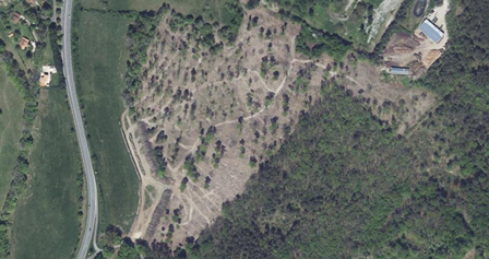 Forêt de Dordogne en 2024