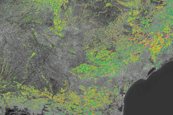 IGN-F - Accessibilité physique des forêts - Région Occitanie