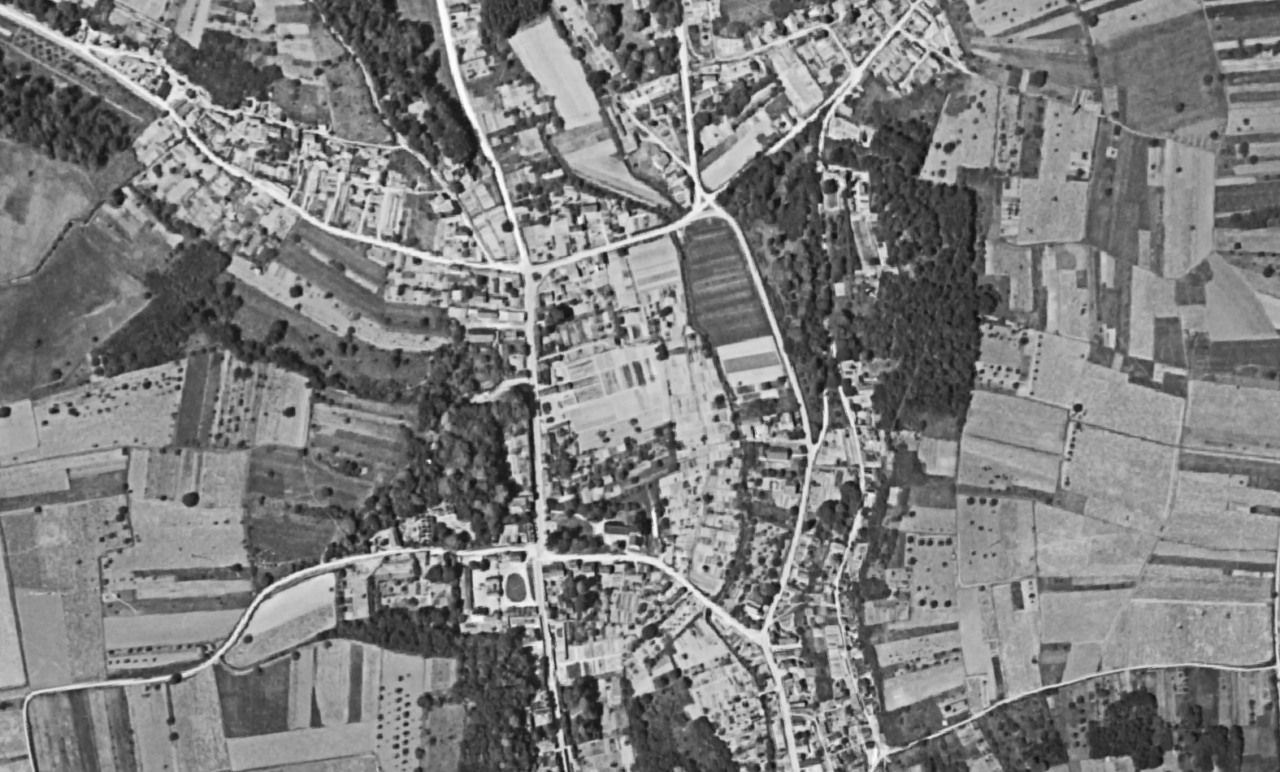 BD ORTHO® Historique